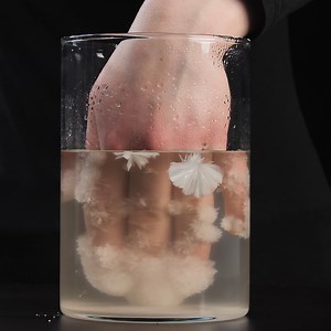 Unbelievable Crystallization Experiment Worth Watching | Crafty Panda How