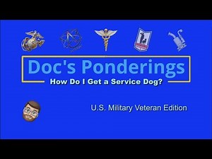 How do i get a service dog - U.S. Military Veteran Edition