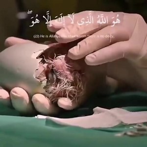 9.1K views · 886 reactions | [Qur’an~59:22-23] ‘Allah ‎ﷻ is the Almighty, Creator and Sustainer of the universe, Who is similar to nothing and nothing is comparable to Him.’ | Quran | Facebook