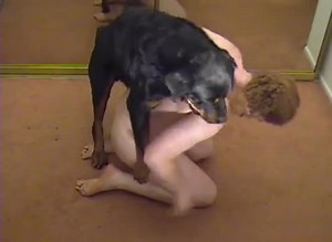 Caledonian nv oh he likes it