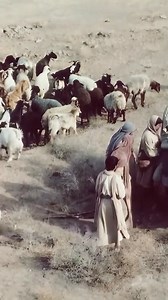 1.3K views · 40 reactions | Youssef Al-Siddiq﫶 #foryouシ #muslim | Md Raiyan Islam | Facebook