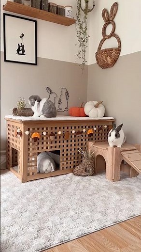 Adding a sprinkle of autumn to the bunny room 🍂 Indoor Rabbits | Rabbit Set Up #autumndecor #cozy