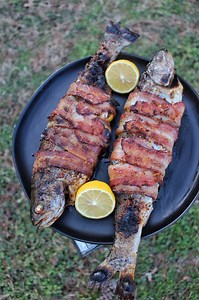 Bacon Wrapped Trout on the open fire today 🐟 🥓 💨 🔥 . Fish is one area of cooking that I am wanting to expand in my experience. I have always loved trout, so I decided to make this Bacon Wrapped Trout over some hot @cowboycharcoal today. Scored the outside of the trout to let the seasoning get deeper inside the fish. Seasoned using my Tennessee Smoke from @spiceology, lemon slices and bacon. Cooked it over the fire for about 8-9 mins per side or until the bacon is cooked and the fish is tende