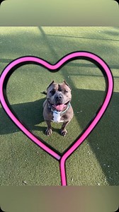 845 reactions · 71 comments | Our weekend marathon of BLUE is coming...