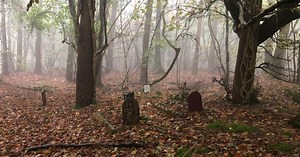 Devon forest has a hidden graveyard