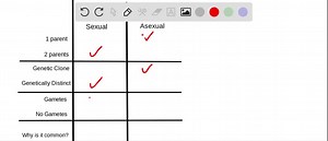Describe the main differences between asexual and sexual reproduction. Why are both types of reproduction common? | Numerade
