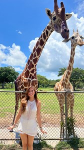 157K views · 21K reactions | Masayang Safari Adventure dito sa Pilipinas | Steph Sinco | Facebook