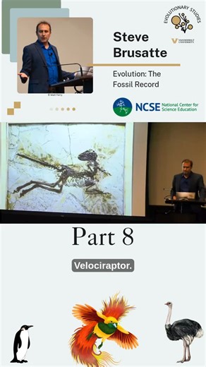 Evolutionary Studies at Vanderbilt on Instagram: "As we've heard about once before @steve.brusatte explains that evolution, by perhaps using sexual selection, may have accidentally evolved flight. @ncse_science #evolution #dinosaurs #wings"