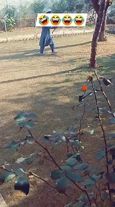 12K views · 644 reactions | Bodagay da mashum out hm na mane 藍 #bodagai #bodagay #bodagi #captainkamran #jamalkamal #funny #trend #Swaat #Saifoor #Pakistan | Bodagay بوڈا گے | Facebook