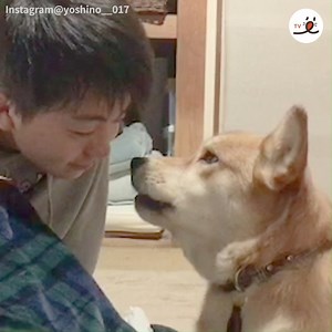 Hey Bro! I have something to tell you🐶 | PECO