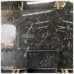 [Hot Item] Polished Fossil Black Marble Slabs for Tiles and Countertops
