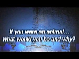 MBB Christian Behrens Q&A WEB