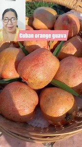 Cuban orange guava #guava #orangeguava #fruits #variety #tropicalfruits #yummyfruits | Shirley Chavez Mendoza