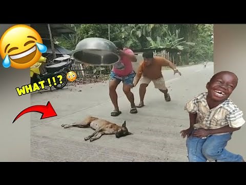 200 Best Funniest Videos Of 2025//Try Not To Laugh Impossible Challenge