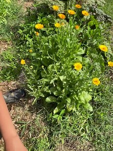 Crafty Gemini on Reels