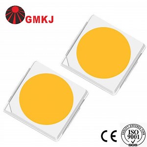 [Hot Item] 2W LED Chip 3030 LED Lens SMD 3030