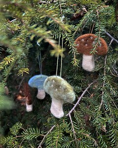 4K views · 18 reactions | Have you ever tried wet felting with little ones?  | How Wee Learn | Facebook