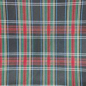 [Hot Item] 100% Polyester Yarn Dyed Fabric for Shirts Plaid Fabric