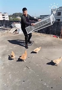 Check out the coolest bird cage for breeding! | Flowers and Gifs | Facebook