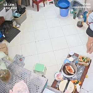 Làm thế mà coi được hả :)) | Cà Lem Kem Kem