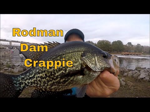Crappie Fishing Rodman Dam Spillway - with Bonus Fish at End