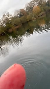 Weston Pools Fishery on Reels