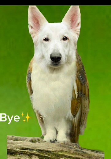 Abenteuer bei IKEA und im See mit Ayla und Elena