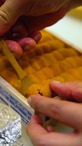 Explore the vibrant essence of Japanese culture at Paragon. Admire Ikebana floral arrangements at the Planting A Rainbow exhibition, savour authentic Japanese cuisine at Akashi Japanese Restaurant and Shimbashi Soba, and discover intricate Japanese craftsmanship and delicacies at MUJI Singapore. | Paragon Shopping Centre