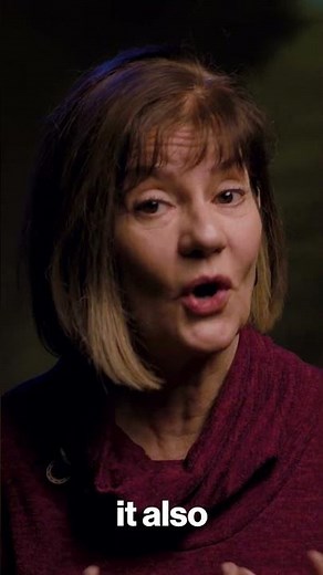 Understanding the Pitch and Timbre of Sound