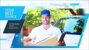 Wholesale Sensors Replacement for Sundance Spa & Jacuzzi 6600-167, 12 Month Warranty, Hot Tub Temperature Sensor with Box End Connectors