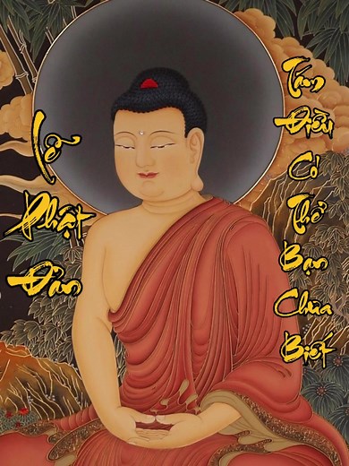 Bửu Liên trên TikTok