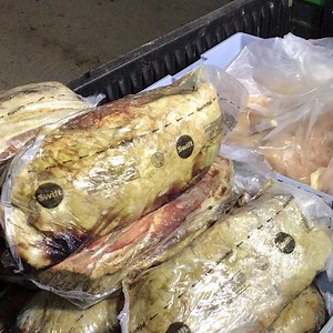 Guess what time it is 🙈 | Catty Shack Ranch Wildlife Sanctuary