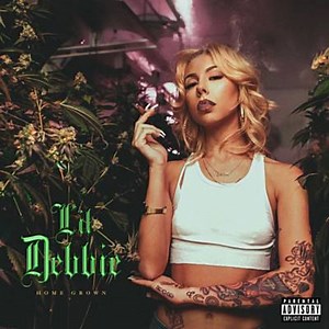 Lil Debbie Slot Machine Model