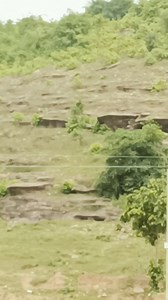 14K views · 271 reactions | Nice view  | Sara Tendulkar id | Facebook