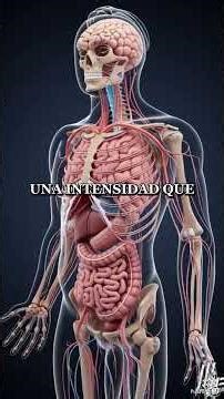 FORMICOFILIA: LA EROTIZACIÓN DE LAS SENSACIONES TÁCTILES