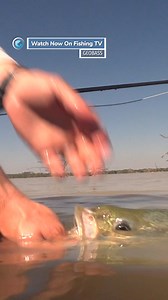 There are huge Bass hiding in Botswana! - ‘Geobass’ on FishingTV Click the link to watch now! https://www.fishingtv.com/series/geobass/ Geobass is a series dedicated to the more adventurous side of fishing. Fly anglers Jay, Chris, Thad and Brian set out on a mission to find the most extreme Bass fishing around the globe. From Giant Largemouth in Mexico to powerful Black Bass in Papua New Guinea, illusive Golden Bass in Botswana and Rare Rainbow Bass in Nicaragua, these guys are pioneering in the