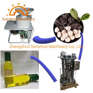 [Hot Item] Peanut Groundnut Sunflower Coffee Walnut Moringa Oil Pressing Press Machine