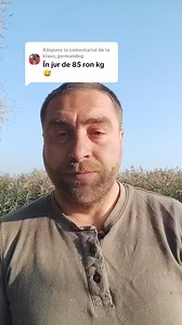 12K views · 113 reactions | #romania #caini | Angels With Paws Oradea | Facebook