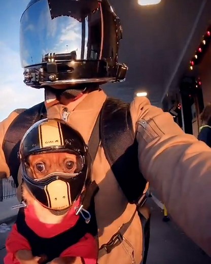 Just when you think you've seen the most adorable thing, @two_chihuahuas89 proves us wrong with his motorcycle dog buddies. For more, visit his TikTok @ two_chihuahuas89. | BuzzFeed Video