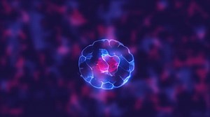 Cell Mitosis Cellular Division Cell-like Lifeform Stock Footage Video (100% Royalty-free) 1026066368 | Shutterstock