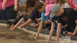 Protesters gather at Assinboine Park Zoo aiming to shutdown ‘Stingray Beach’ exhibit