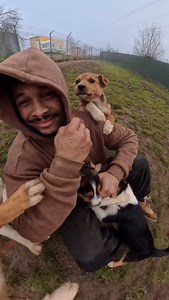 99K views · 5.1K reactions | V @pesdomovec jsou i stenatka! Pokud jeste premyslite nad pejskem jako Vanocni prekvapeni, prosim zvazte i utulky ❤️ | Ben Cristovao | Facebook