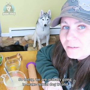 6.2K views · 535 reactions | How To Make Homemade Dental Treats For Your Dog!領 | Gone to the Snow Dogs | Facebook