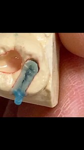 The rest gold! | CEO Luke Kahng