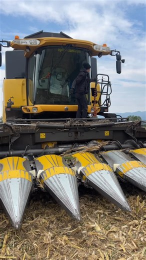 #mietitrebbia#newholland#cr9060#mais | Giulia Tonello