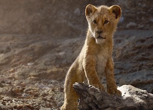 111K views · 2.5K reactions | The Lion King 2021 | 홱횊획 홳횊횢 | Facebook