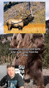 4.2K views · 36 reactions | Heartbroken Story of the victim of Grizzly Bear | Bones Skull | Facebook