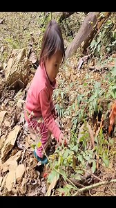 95K views · 1.1K reactions | Mothers giving birth in the forest#mother #buildings #bushcraft #harvest #outdoors #reelviralfacebook #survival #viralreelsfb #camping | Poor life | Facebook