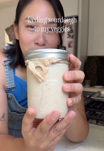 Sourdough Starter Dilution: 1:10 Ratio & 6-Month Plan