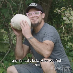 In this episode of Forage, chef Shawn Adler shows how to safely identify and harvest a puffball mushroom, before throwing it on the grill and transforming it into a fresh, summery appetizer. #forage #forageandharvest #foragedfood #forageharvester #foragers #puffballmushroom | CBC Life